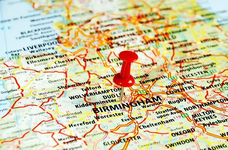 flowers  / of flowers