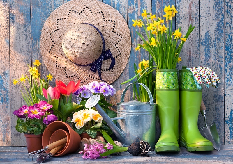 florists flowers  / the flowers