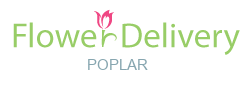 Flower Delivery Poplar